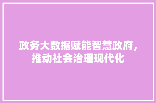 政务大数据赋能智慧政府，推动社会治理现代化