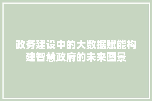 政务建设中的大数据赋能构建智慧政府的未来图景