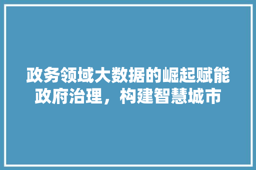 政务领域大数据的崛起赋能政府治理，构建智慧城市