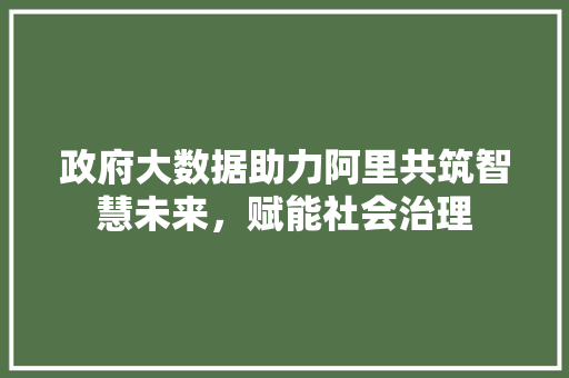 政府大数据助力阿里共筑智慧未来，赋能社会治理 WordPress教程