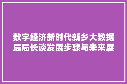 数字经济新时代新乡大数据局局长谈发展步骤与未来展望