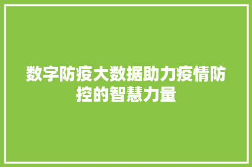 数字防疫大数据助力疫情防控的智慧力量