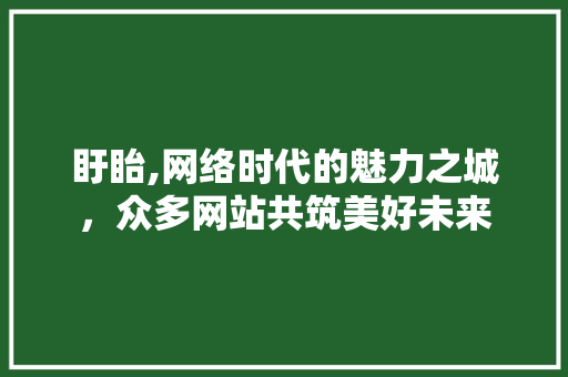 盱眙,网络时代的魅力之城，众多网站共筑美好未来