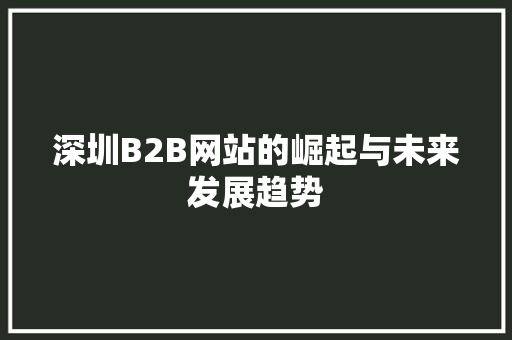 深圳B2B网站的崛起与未来发展趋势