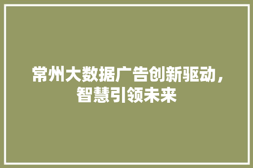 常州大数据广告创新驱动，智慧引领未来