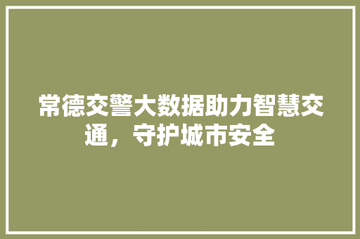 常德交警大数据助力智慧交通，守护城市安全