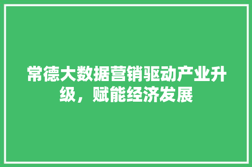 常德大数据营销驱动产业升级，赋能经济发展
