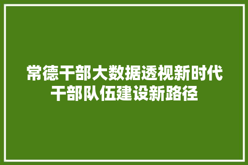 常德干部大数据透视新时代干部队伍建设新路径