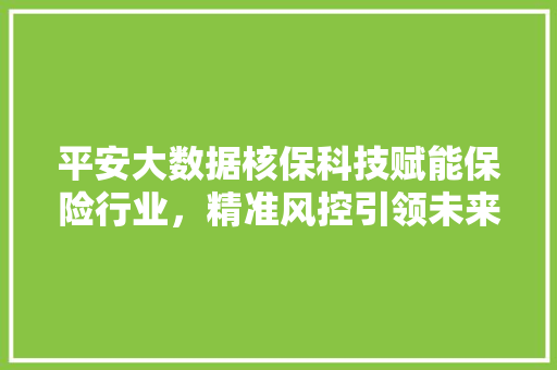 平安大数据核保科技赋能保险行业，精准风控引领未来