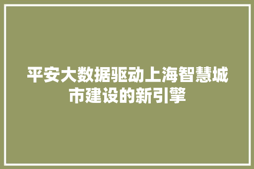 平安大数据驱动上海智慧城市建设的新引擎