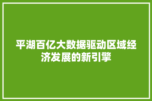 平湖百亿大数据驱动区域经济发展的新引擎