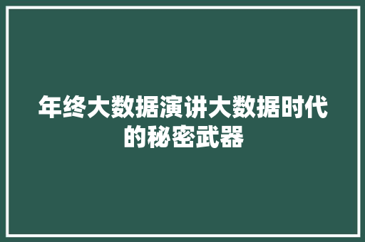 年终大数据演讲大数据时代的秘密武器