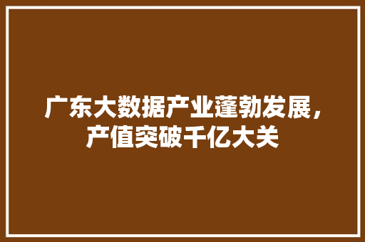 广东大数据产业蓬勃发展，产值突破千亿大关