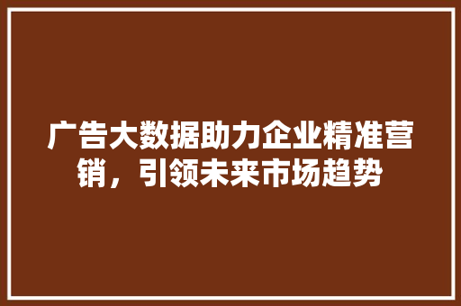 广告大数据助力企业精准营销，引领未来市场趋势