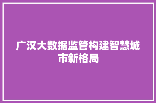 广汉大数据监管构建智慧城市新格局