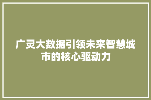 广灵大数据引领未来智慧城市的核心驱动力