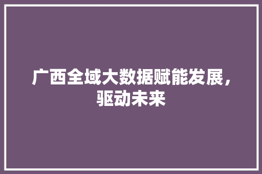 广西全域大数据赋能发展，驱动未来