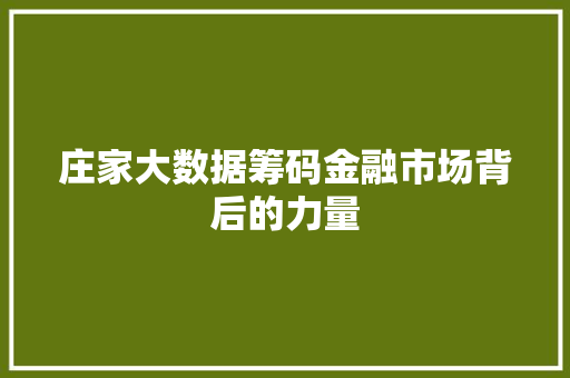 庄家大数据筹码金融市场背后的力量 SEO教程