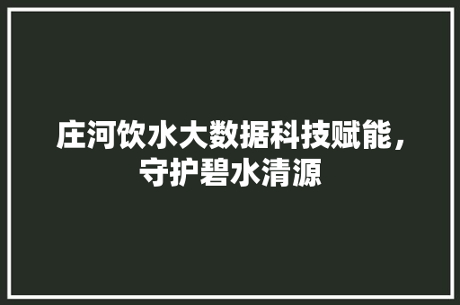 庄河饮水大数据科技赋能，守护碧水清源