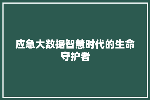 应急大数据智慧时代的生命守护者