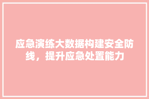 应急演练大数据构建安全防线，提升应急处置能力