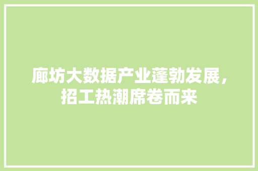 廊坊大数据产业蓬勃发展，招工热潮席卷而来