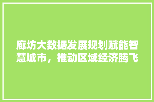 廊坊大数据发展规划赋能智慧城市，推动区域经济腾飞