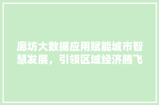 廊坊大数据应用赋能城市智慧发展，引领区域经济腾飞