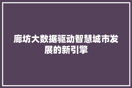 廊坊大数据驱动智慧城市发展的新引擎