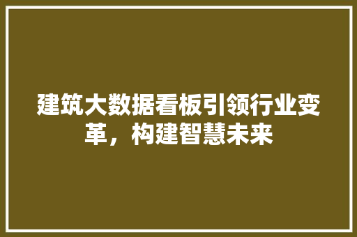 建筑大数据看板引领行业变革，构建智慧未来