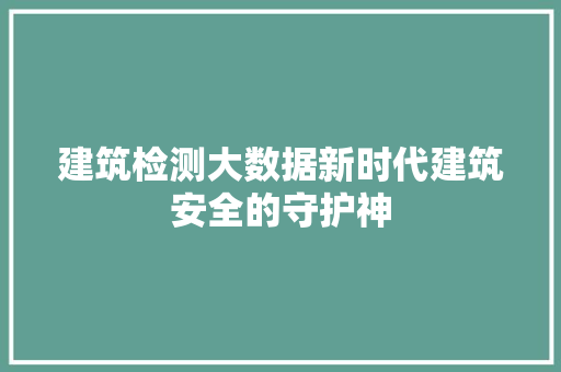 建筑检测大数据新时代建筑安全的守护神