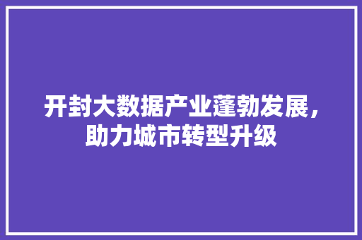 开封大数据产业蓬勃发展，助力城市转型升级