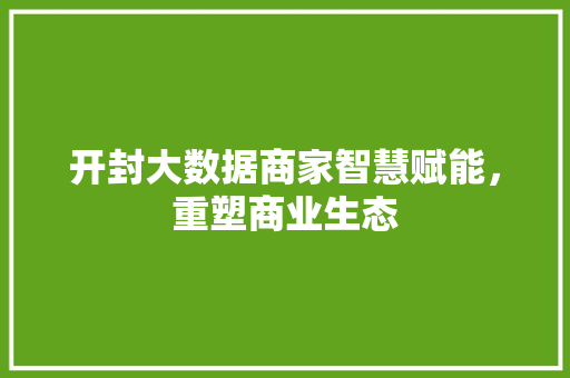 开封大数据商家智慧赋能，重塑商业生态