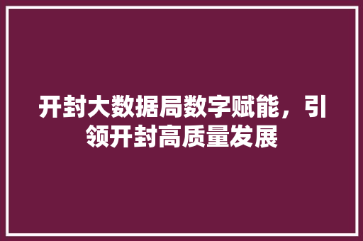 开封大数据局数字赋能，引领开封高质量发展