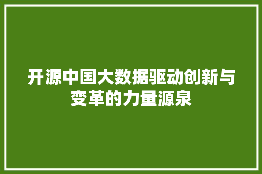 开源中国大数据驱动创新与变革的力量源泉