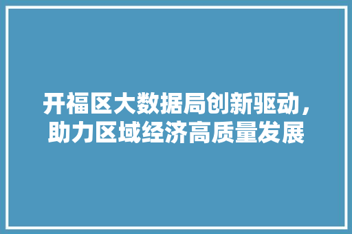 开福区大数据局创新驱动，助力区域经济高质量发展