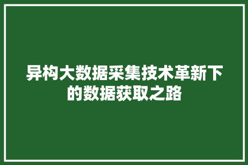 异构大数据采集技术革新下的数据获取之路