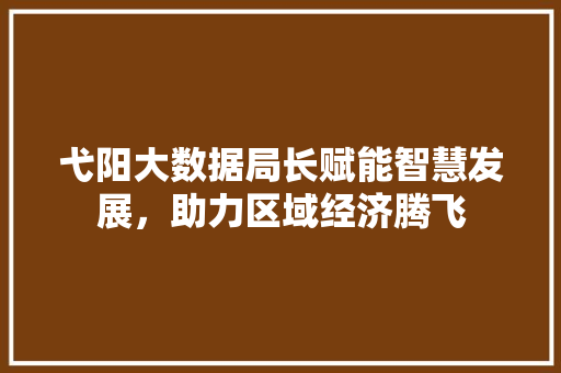 弋阳大数据局长赋能智慧发展，助力区域经济腾飞