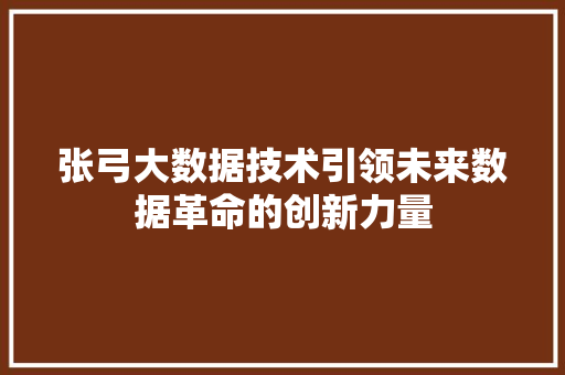 张弓大数据技术引领未来数据革命的创新力量