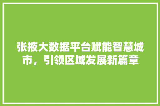 张掖大数据平台赋能智慧城市，引领区域发展新篇章