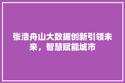 张浩舟山大数据创新引领未来，智慧赋能城市