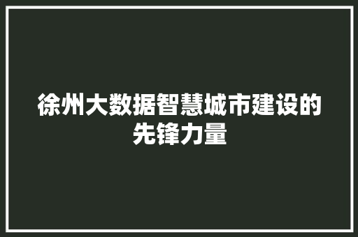 徐州大数据智慧城市建设的先锋力量
