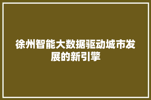 徐州智能大数据驱动城市发展的新引擎