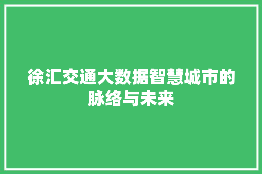 徐汇交通大数据智慧城市的脉络与未来