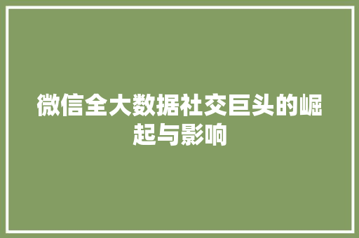 微信全大数据社交巨头的崛起与影响