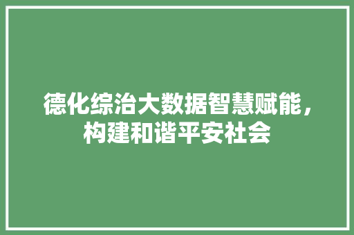 德化综治大数据智慧赋能，构建和谐平安社会