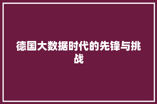 德国大数据时代的先锋与挑战 友链在线