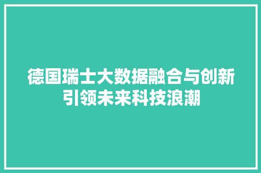 德国瑞士大数据融合与创新引领未来科技浪潮 SEO教程