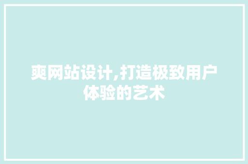 爽网站设计,打造极致用户体验的艺术