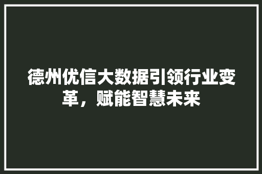 德州优信大数据引领行业变革，赋能智慧未来 服务器/数据库